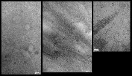 PIA03496: Southern Hemisphere Polygonal Patterned Ground