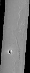 PIA03793: Wrinkle Ridges and Young Fresh Crater