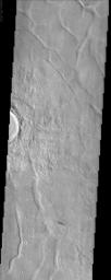 PIA03796: Utopia Planitia