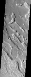 PIA04019: Ares Vallis Polygons