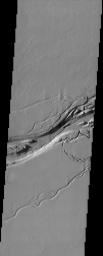 PIA04458: Olympica Fossae