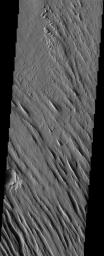 PIA04464: Medusae Fossae Yardangs