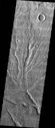 PIA05662: Multiple Channels in Warrego Valles