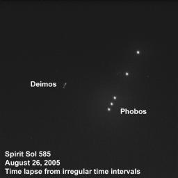 PIA06336: The Two Moons of Mars as Seen from Mars