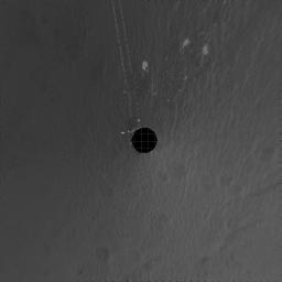 PIA07320: Opportunity's View After Sol 321 Drive (Vertical)