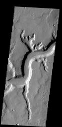 PIA08598: Mamers Vallis