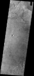 PIA09300: Dust Devil Tracks