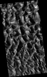 PIA09380: Winter View of Dunes in Proctor Crater