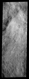 PIA09446: Dust Devil Tracks