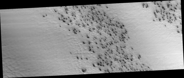 PIA10139: Field of Fans