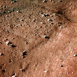 PIA10682: Icy, Patterned Ground on Mars