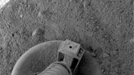 PIA10691: Phoenix Footpad Up Close