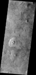 PIA11261: Dust Devil Tracks