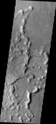 PIA11267: Dust Devil Tracks