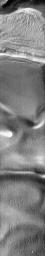 PIA11897: Polar Dune