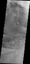 PIA11898: Dunes