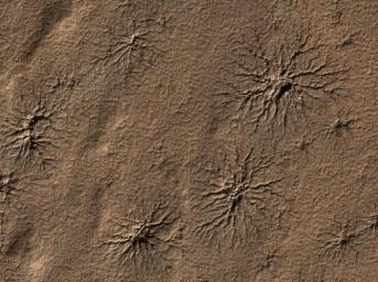 PIA12249: Radial Channels Carved by Dry Ice