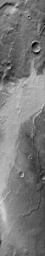 PIA12322: Terra Cimmeria Dunes (IR)