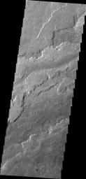 PIA12414: Arsia Mons Flows