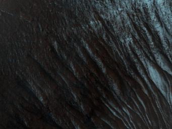 PIA12881: Gullies and... Gullies? in Terra Sirenum