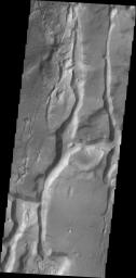 PIA13146: Cydonia Mensae