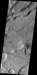 PIA13355: Tempe Terra