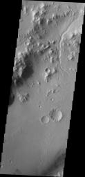 PIA13545: Gale Crater Channels