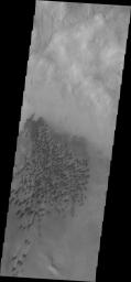 PIA14141: Arkhangelsky Crater Dunes