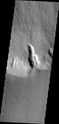 PIA14162: Olympus Mons Flows