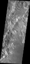 PIA14181: Holden Crater Rim