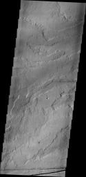 PIA15362: Tharsis Volcanics