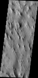 PIA15440: Lycus Sulci