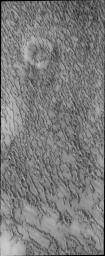 PIA15449: More Polar Dunes