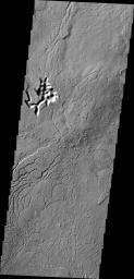 PIA15704: Arcuate Fratures