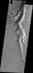 PIA15735: Mega Gully