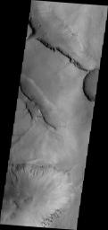 PIA16288: Gullies