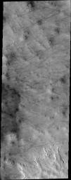 PIA16473: Dust Devil Tracks