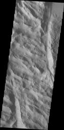 PIA16511: Lycus Sulci