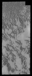 PIA17866: Polar Dunes