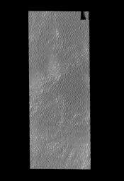 PIA18237: Polar Dunes