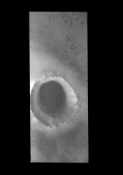 PIA18240: Crater Dunes