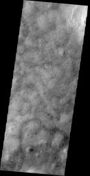 PIA18257: Utopia Planitia