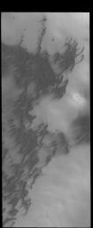 PIA18504: More Polar Dunes