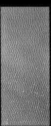 PIA18540: Olympia Undae