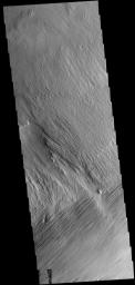 PIA18743: Yardangs