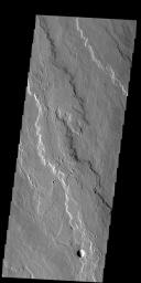 PIA19465: Daedalia Planum