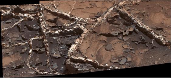 PIA19922: 'Garden City' Vein Complex on Lower Mount Sharp, Mars