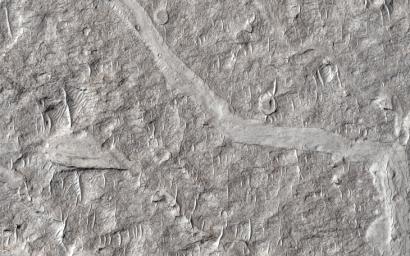 PIA20006: Fine-Branched Ridges