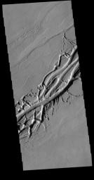 PIA20782: Olympica Fossae