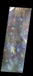 PIA21280: Newton Crater - False Color